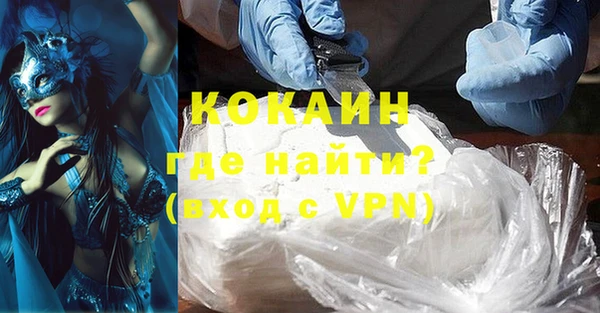 прущие грибы Красноперекопск